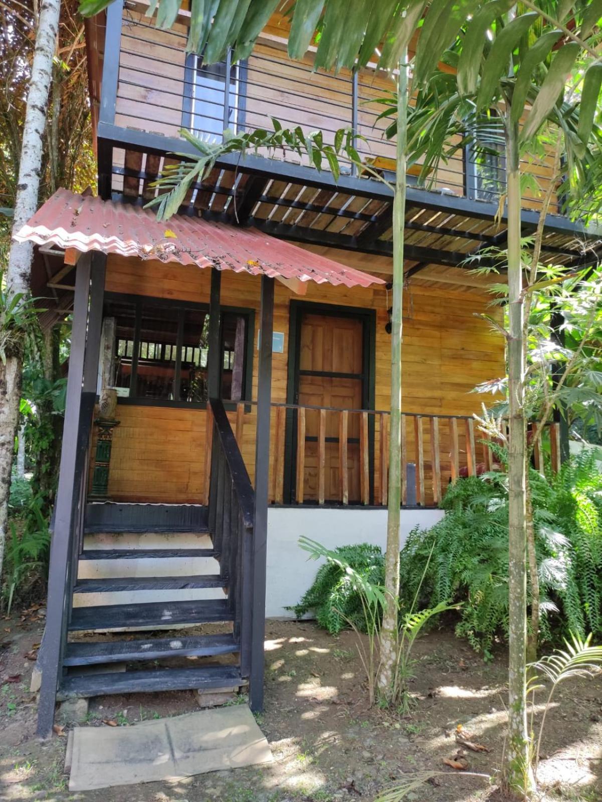Papaya Wildlife Lodge Cahuita Buitenkant foto