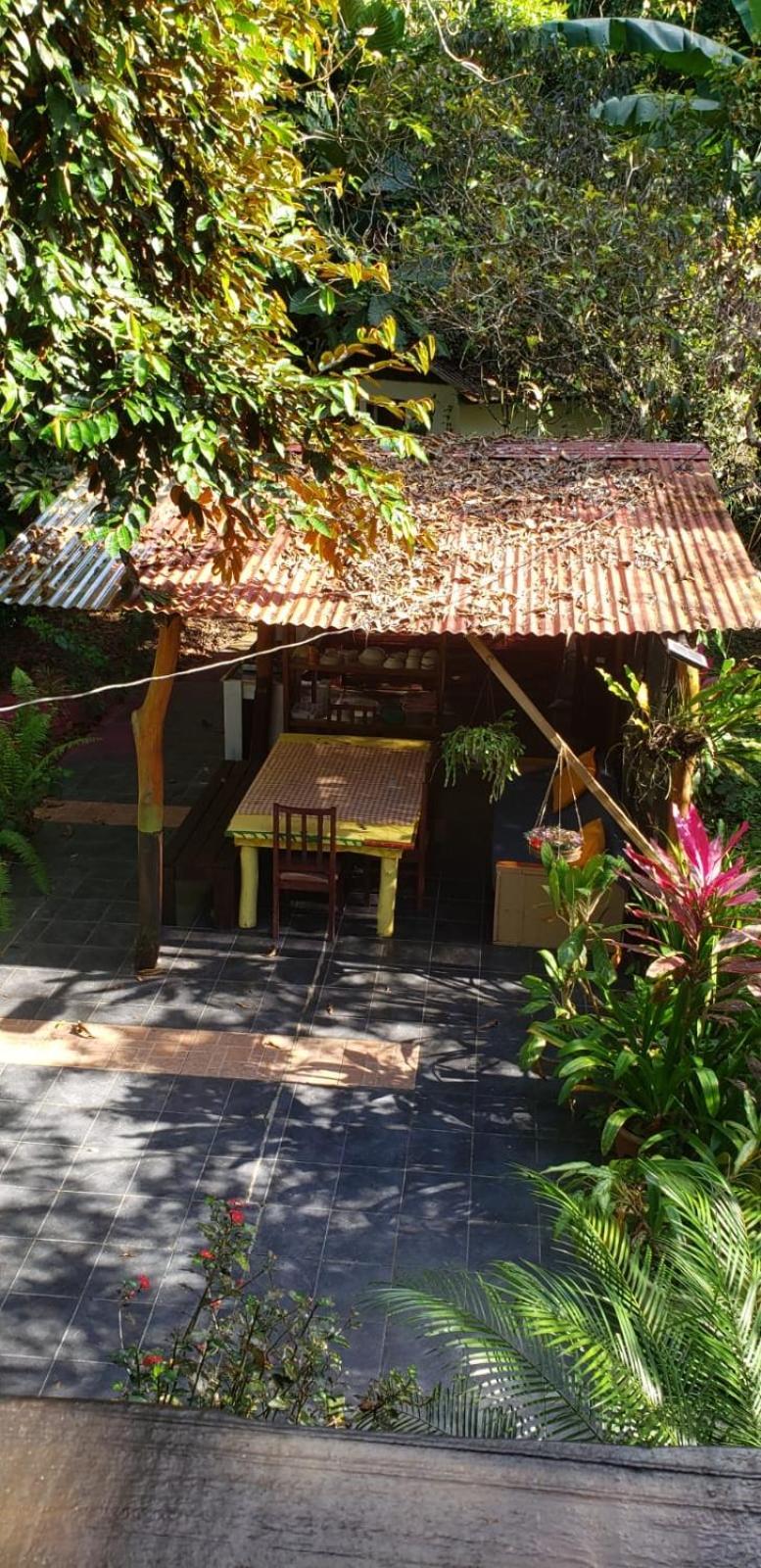 Papaya Wildlife Lodge Cahuita Buitenkant foto
