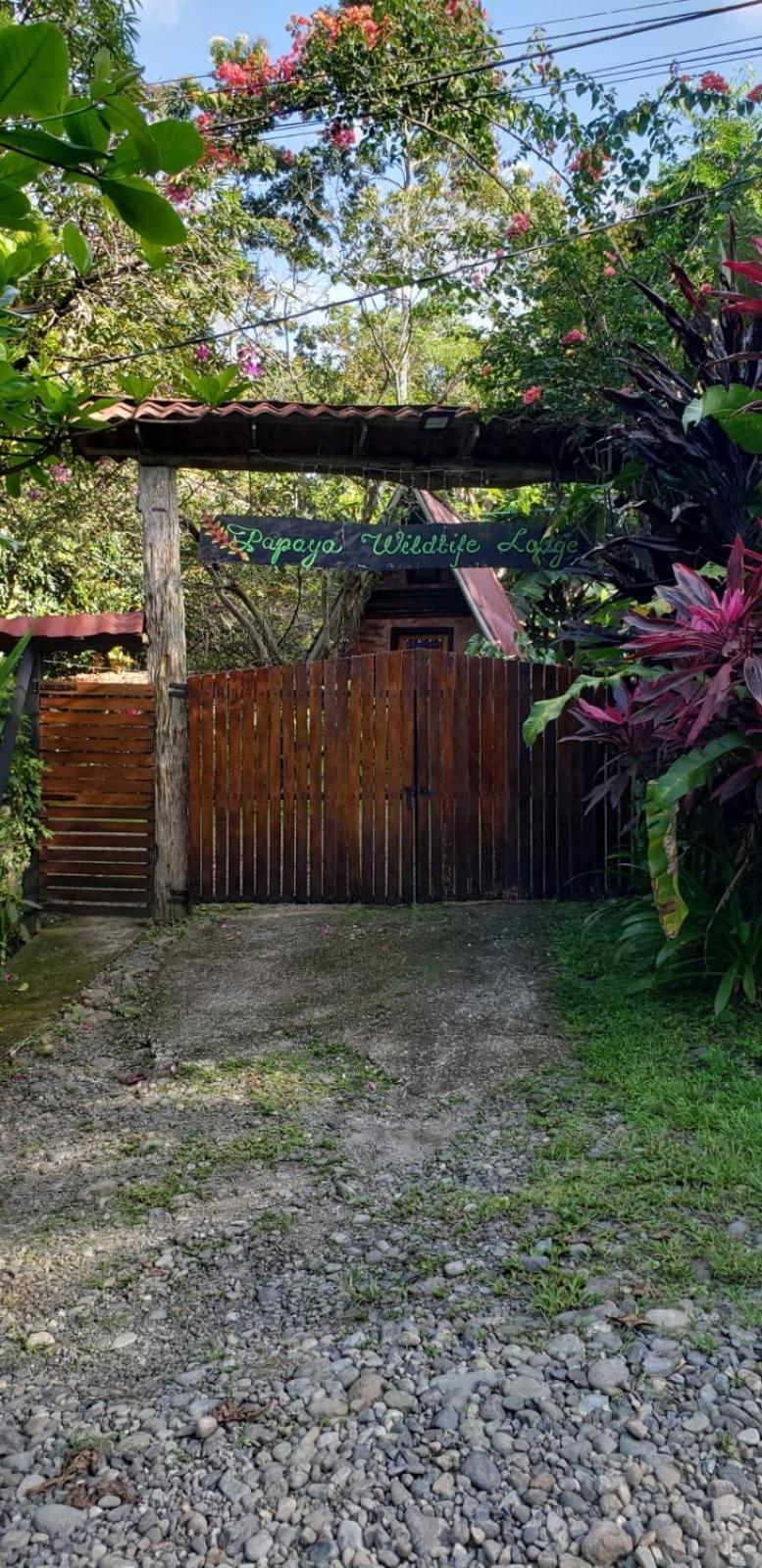 Papaya Wildlife Lodge Cahuita Buitenkant foto