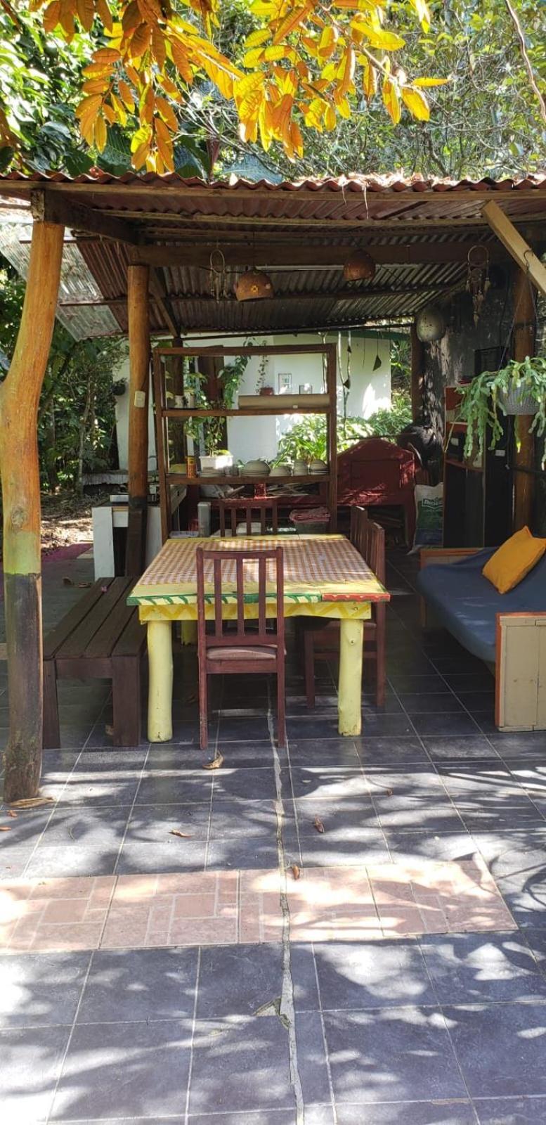 Papaya Wildlife Lodge Cahuita Buitenkant foto