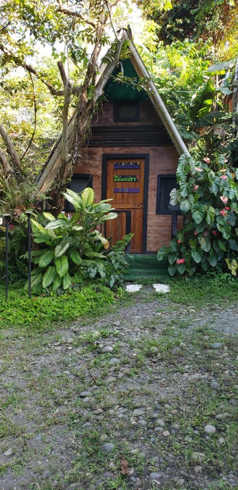 Papaya Wildlife Lodge Cahuita Buitenkant foto