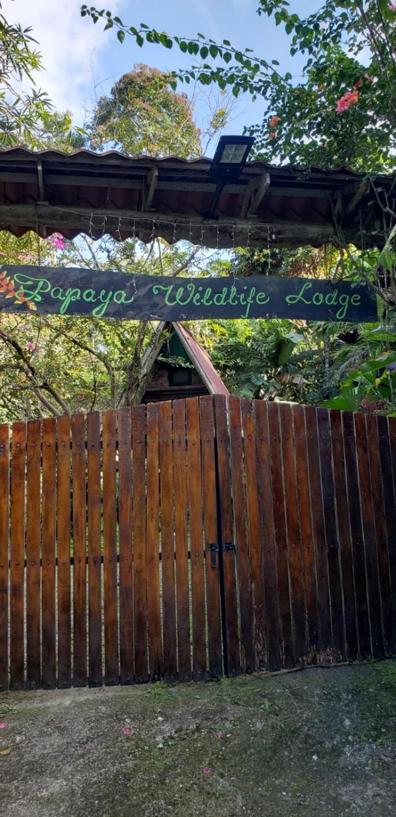 Papaya Wildlife Lodge Cahuita Buitenkant foto