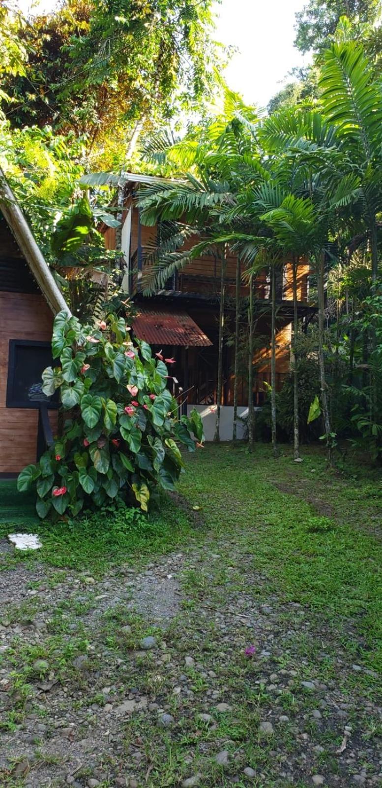 Papaya Wildlife Lodge Cahuita Buitenkant foto