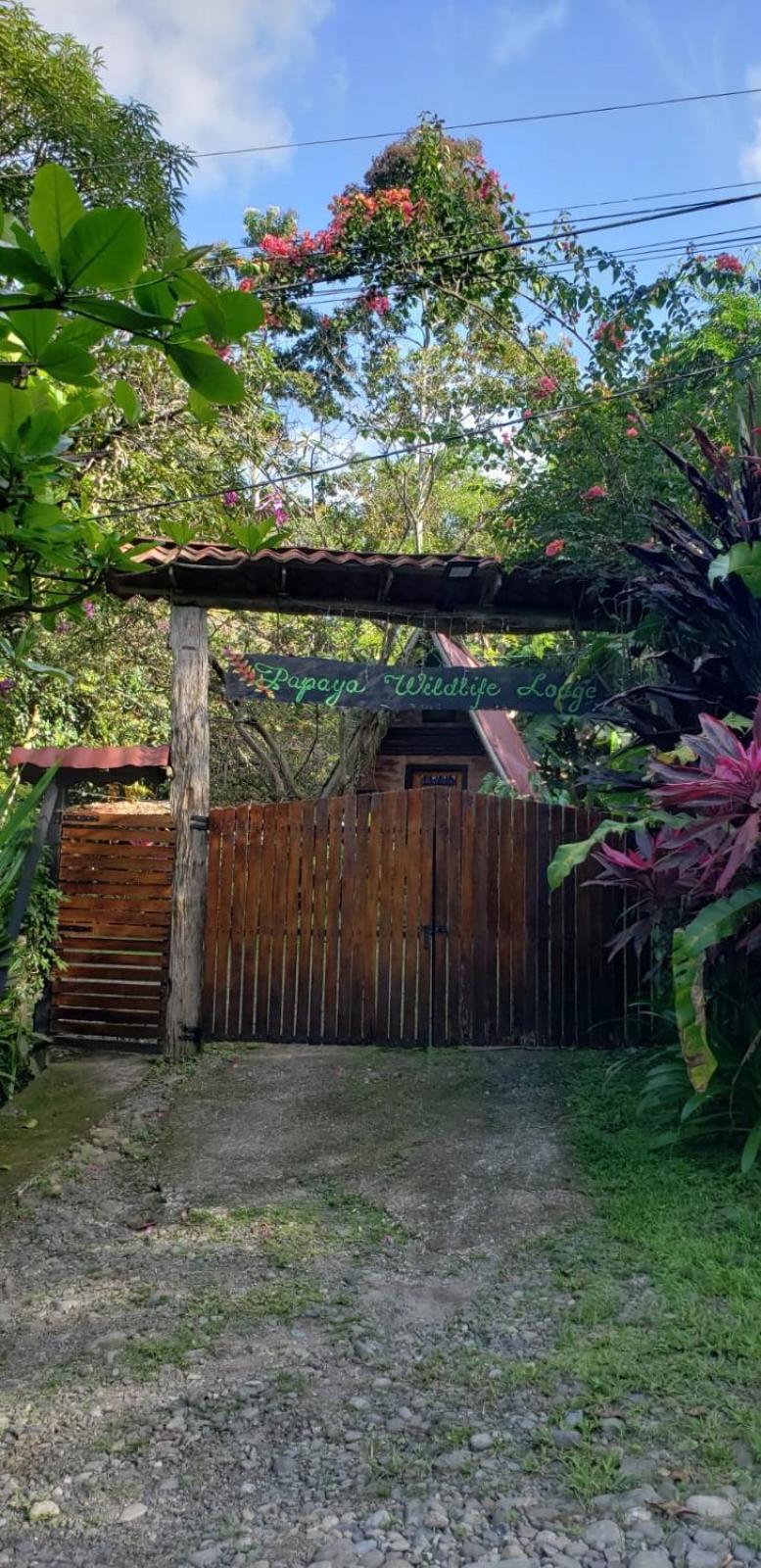 Papaya Wildlife Lodge Cahuita Buitenkant foto