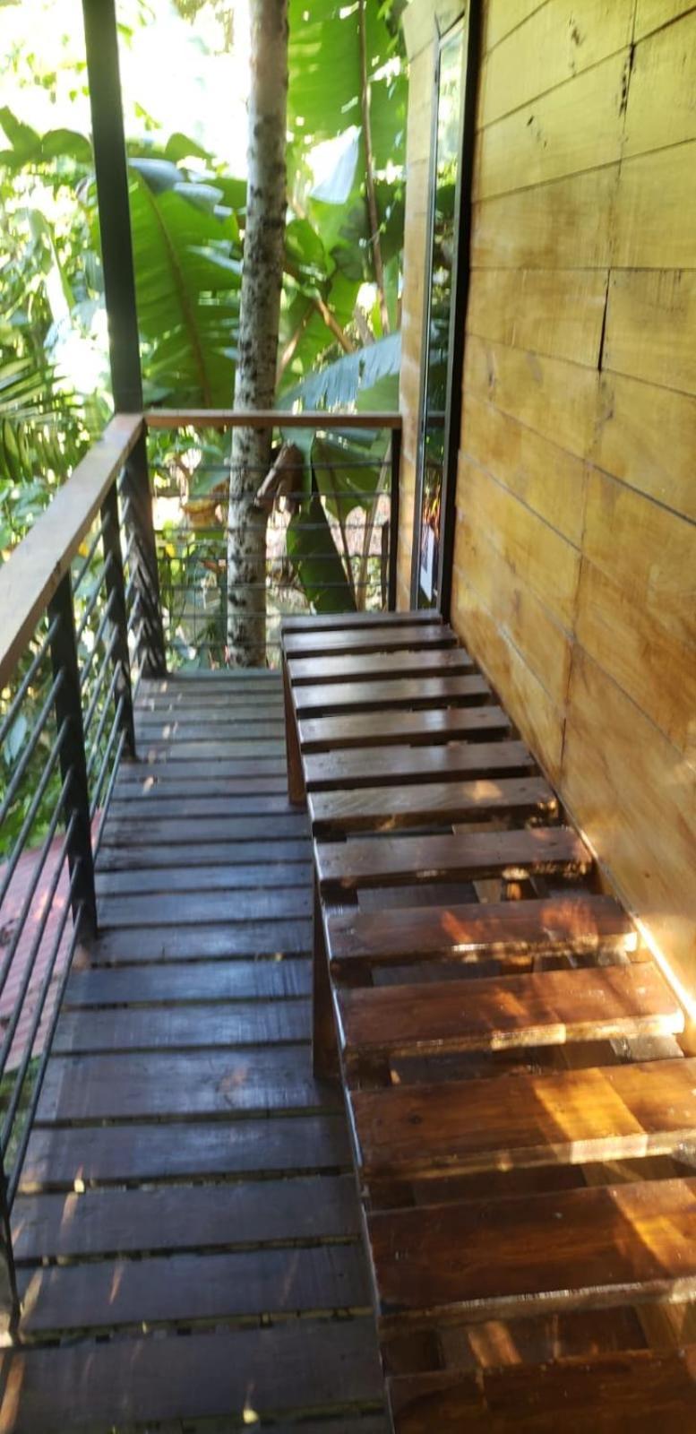 Papaya Wildlife Lodge Cahuita Buitenkant foto