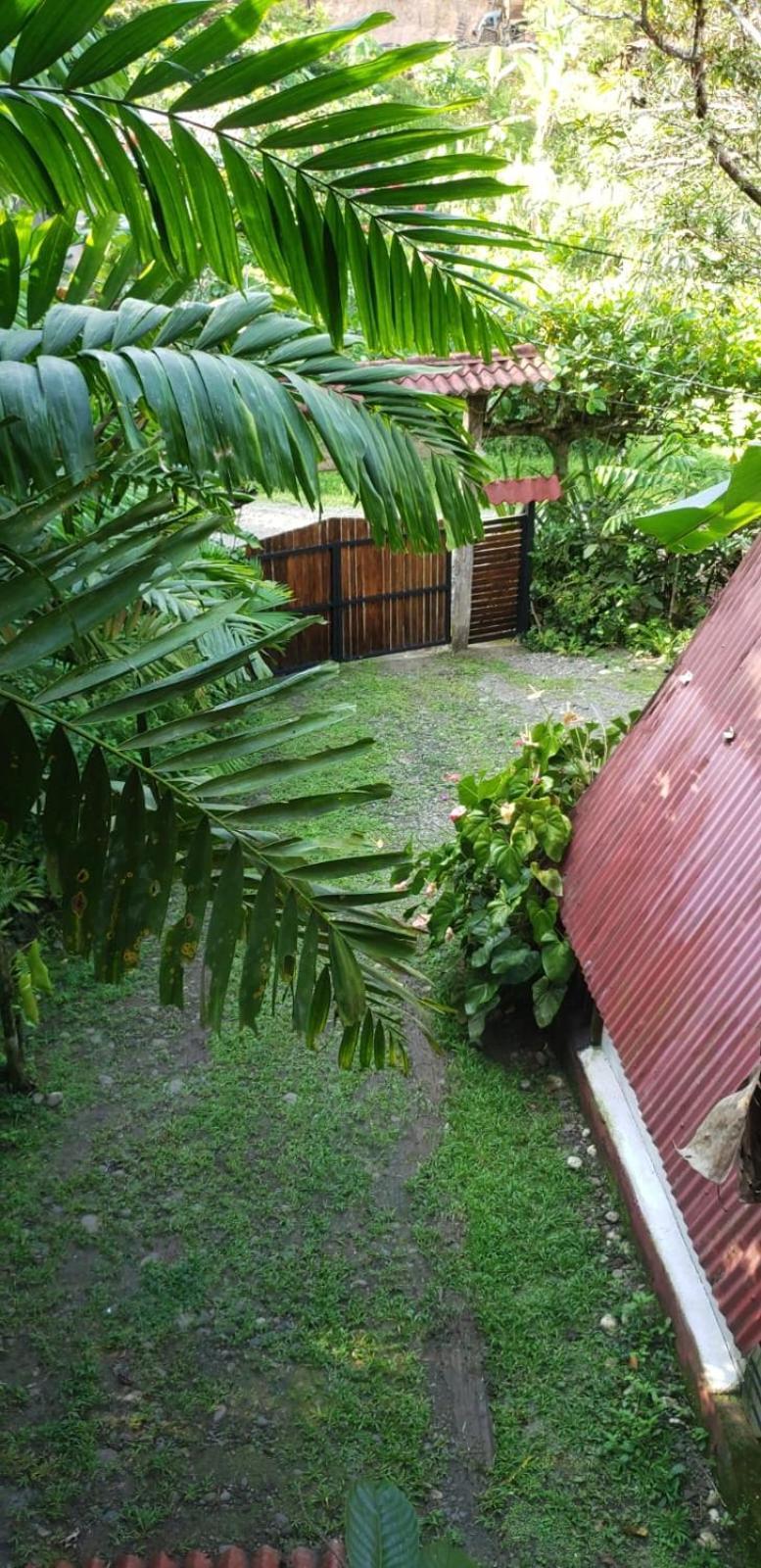 Papaya Wildlife Lodge Cahuita Buitenkant foto