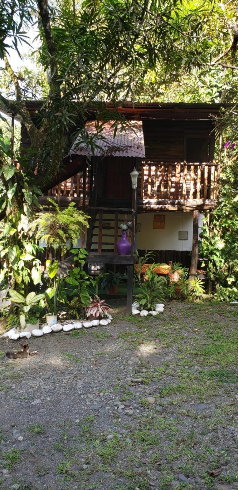 Papaya Wildlife Lodge Cahuita Buitenkant foto